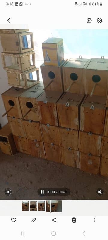 boxes of love bird. 03009658681 0