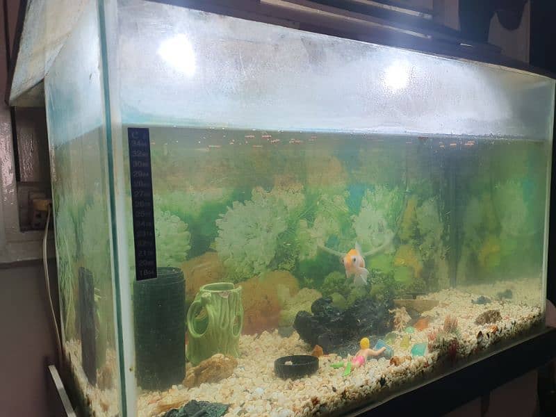 aquarium Large size(complete setup) 0