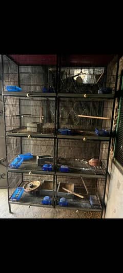 8 portions cage for sale