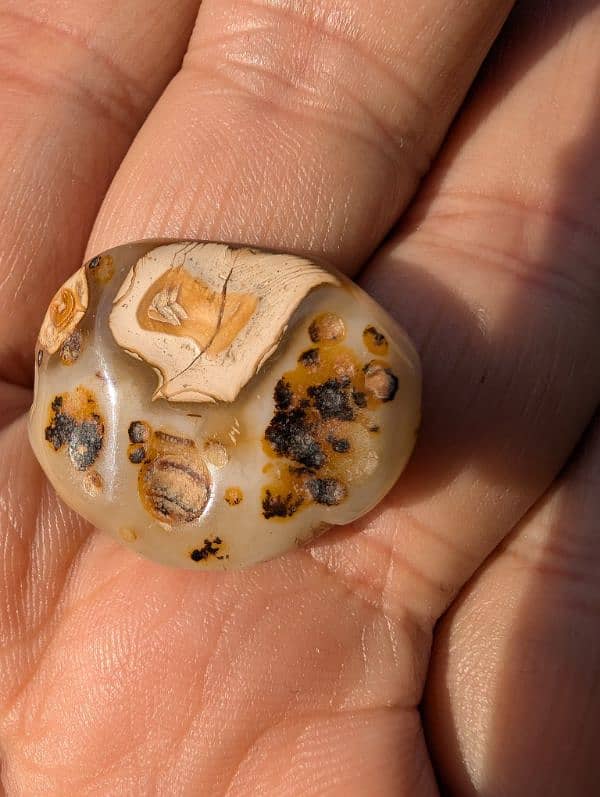 Dendritic Agate 0