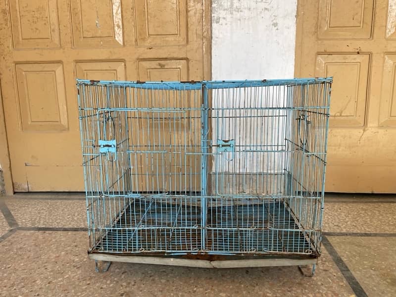 Cages urgent for sale 03351209007 0