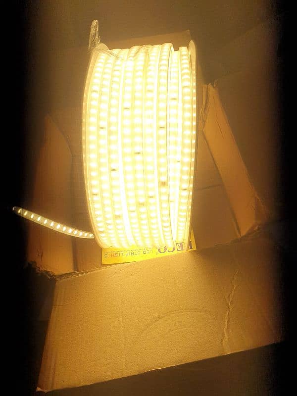 Rope Light 11mm/ 70 m 3