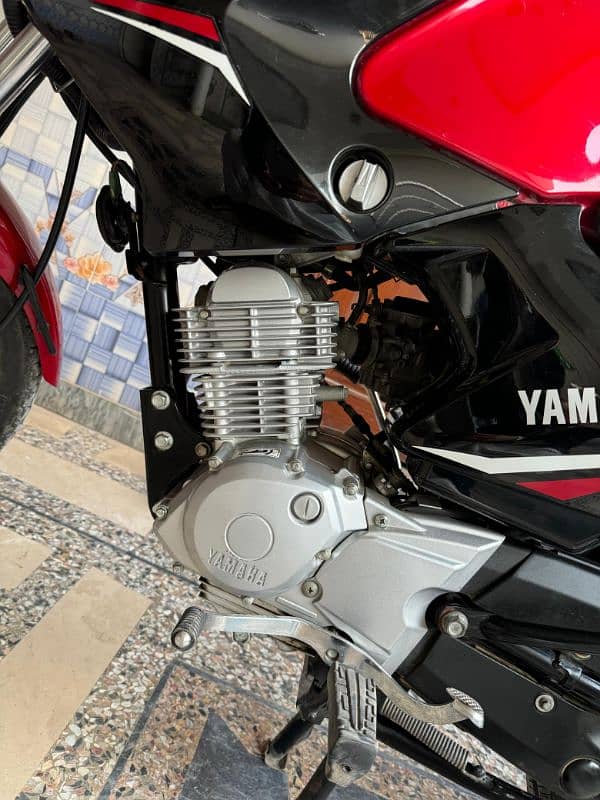 Yamaha YBR 125 2023 model 6