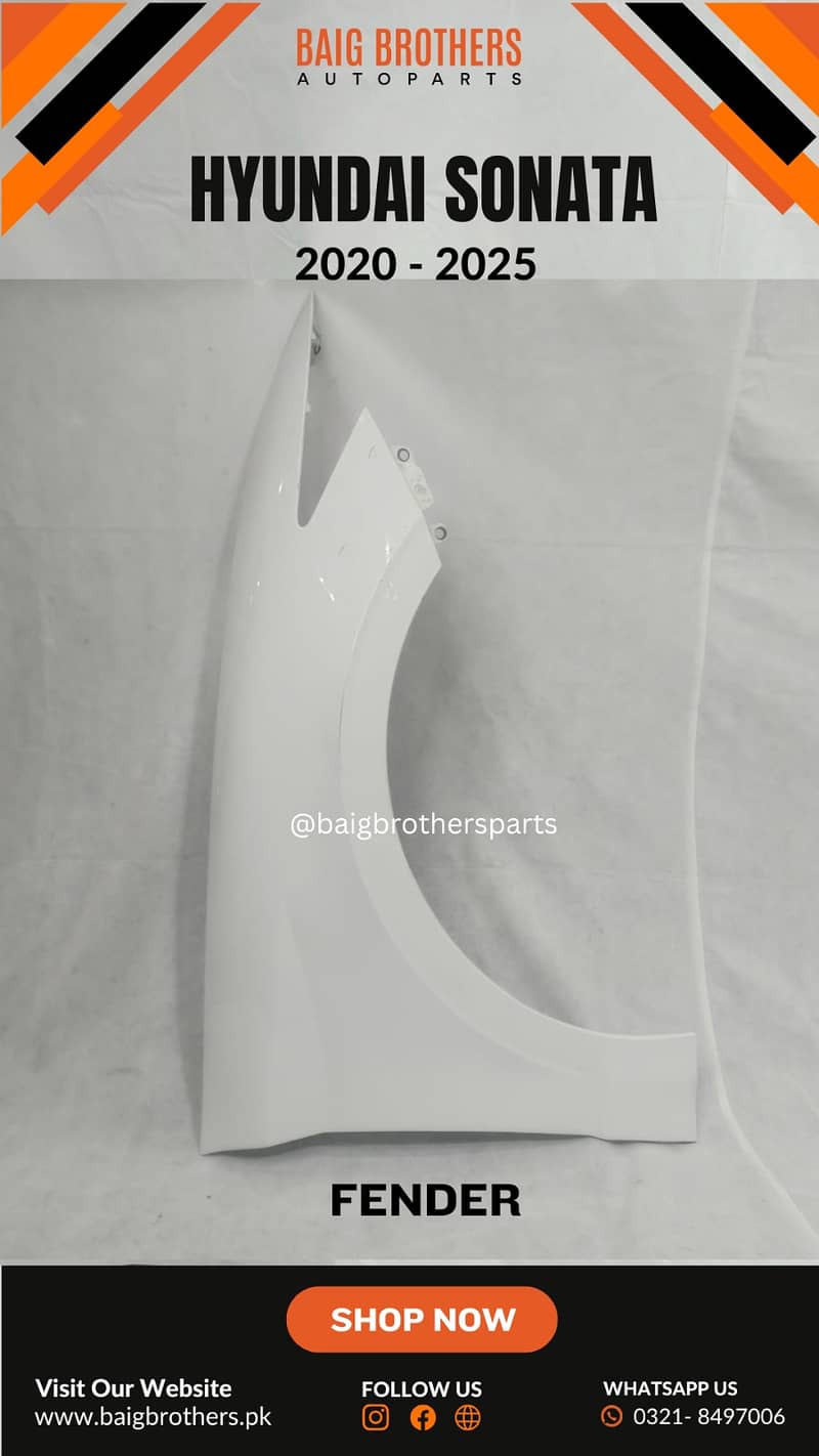 Honda Tucson Kia Sportage Picanto ZS HS Bumper Digi Door Fender Parts. 15