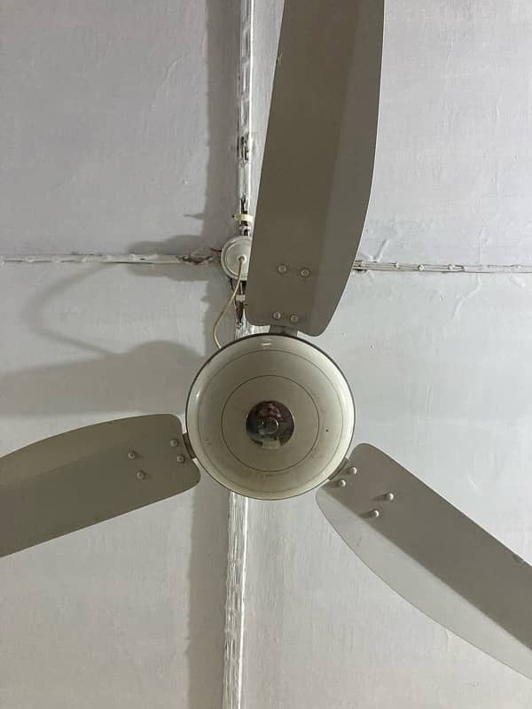 Ceiling fans for sale 0