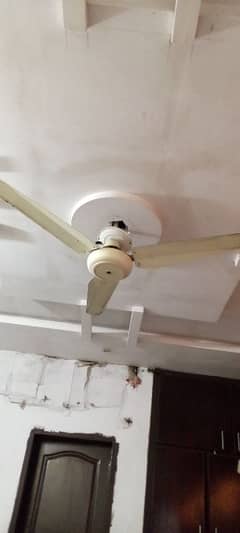 fan for sale