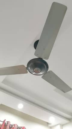 Ceiling Fans