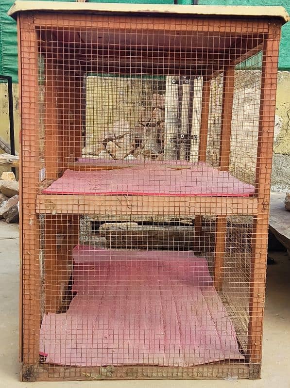 The best cage for chicken 1