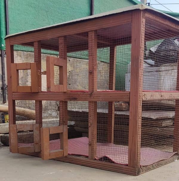 The best cage for chicken 2