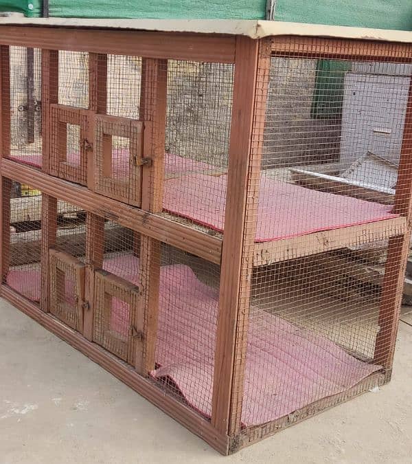 The best cage for chicken 5