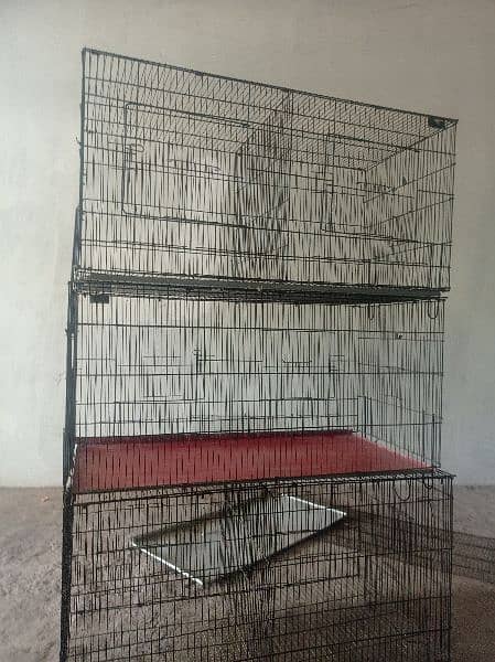 3 peace Bird cage 4