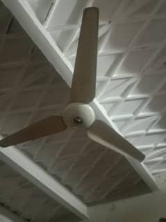 Ceiling Fan