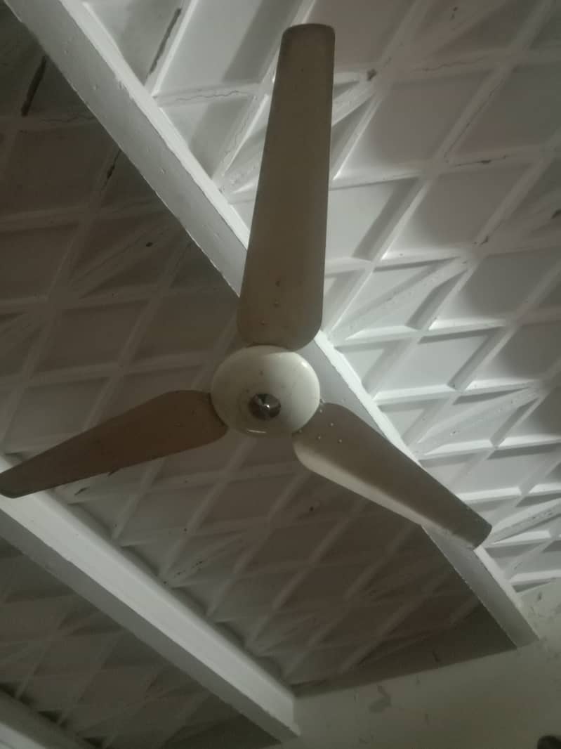 Ceiling Fan 1