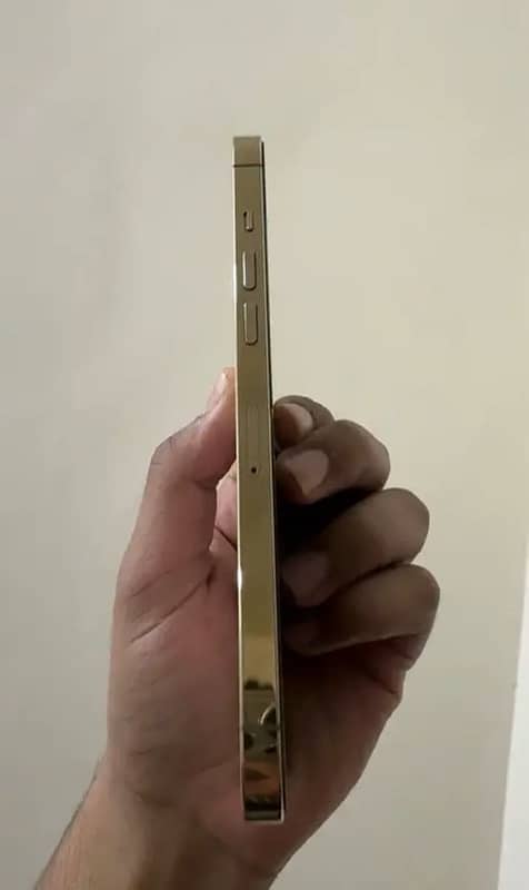 iphone 12pro max dual pta approved 3