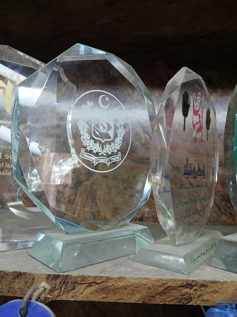 School Award shield trophie / Glass shield ,medals, metal ,wood award 14