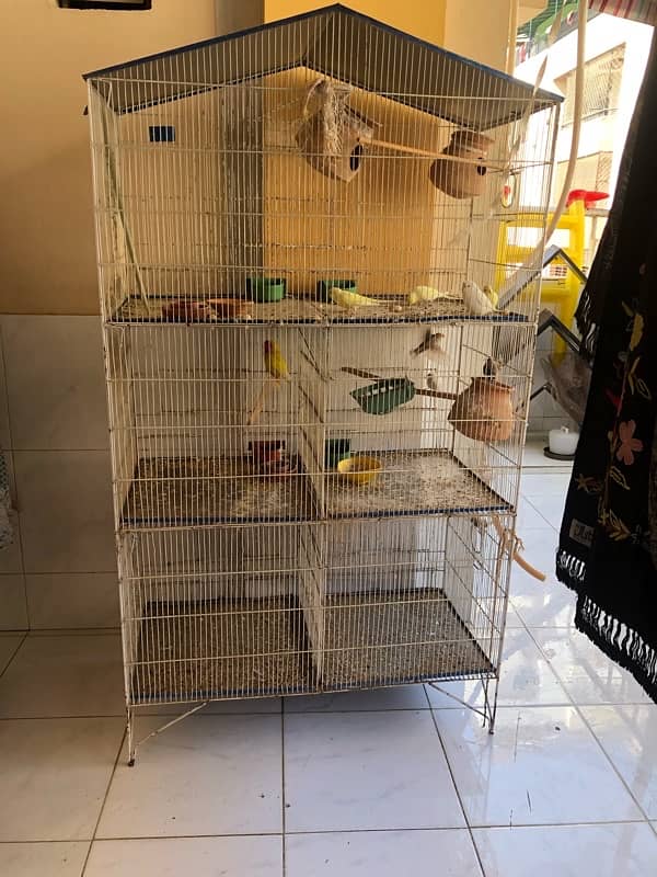 Hen and Bird Cage 0