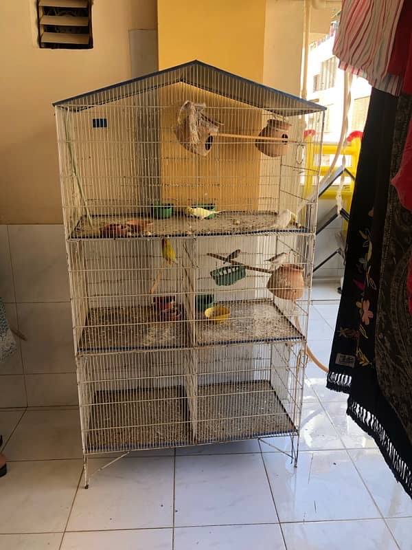 Hen and Bird Cage 1