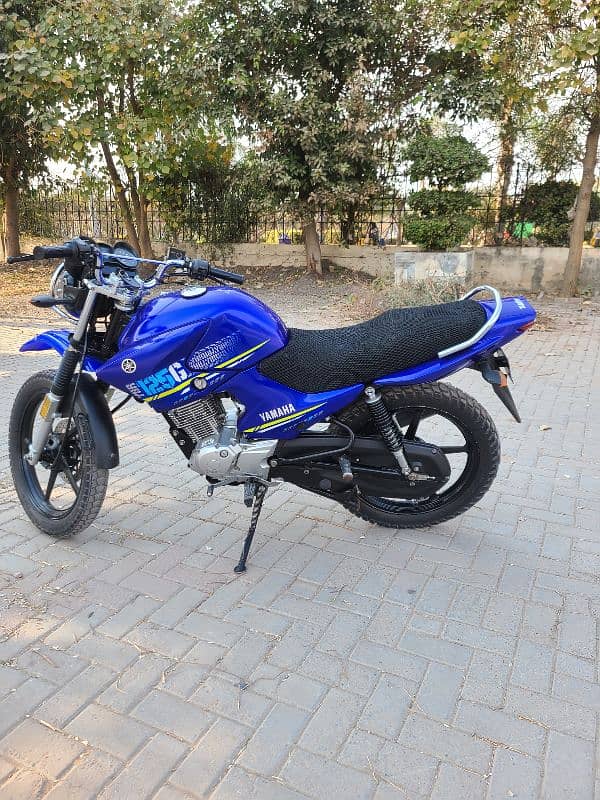 YAMAHA YBR 125 G BLUE COLOR 5