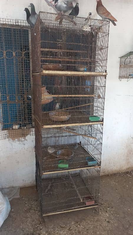 Cages for Sale for Finches, Cocktail and any colony breed 1