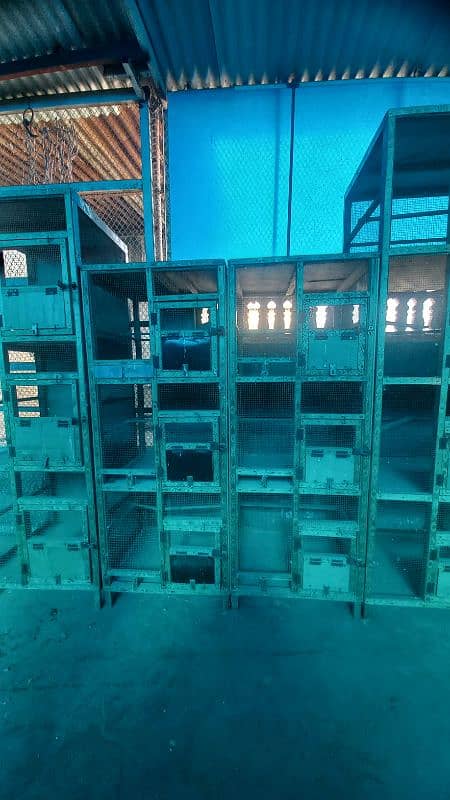 Cages for Sale for Finches, Cocktail and any colony breed 6