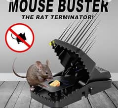 mouse trap