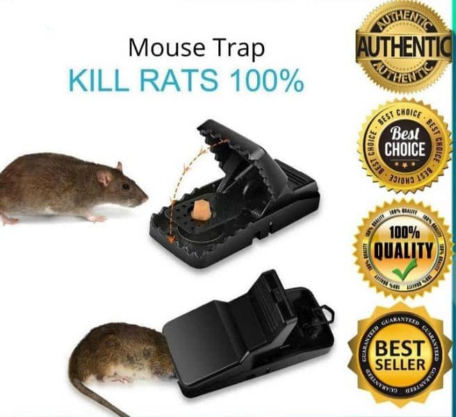 mouse trap 1