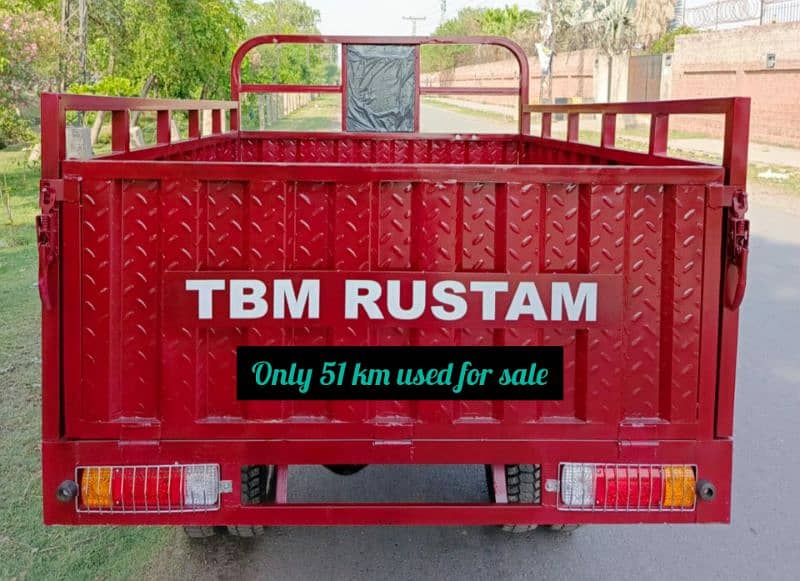 TBM 200cc Double Tyres Cargo Loader for sale 3