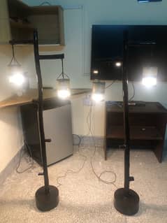 Standing Identical Wooden lamps