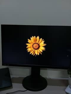 Lenovo 2k 75 gaming led bezel less monitor