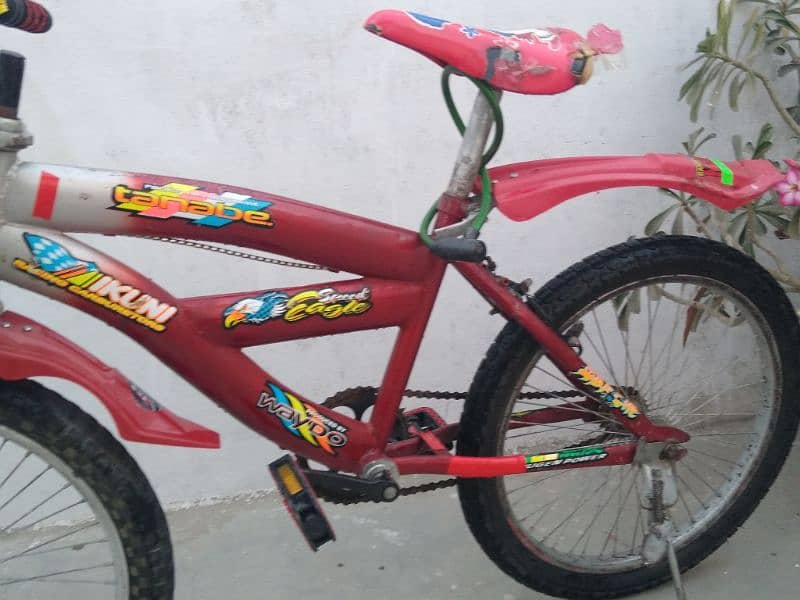 12 year old cycle 10 by 10 good condition 3