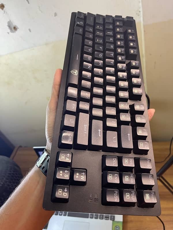 T-Dagger Bali tkg 311 Keyboard 1