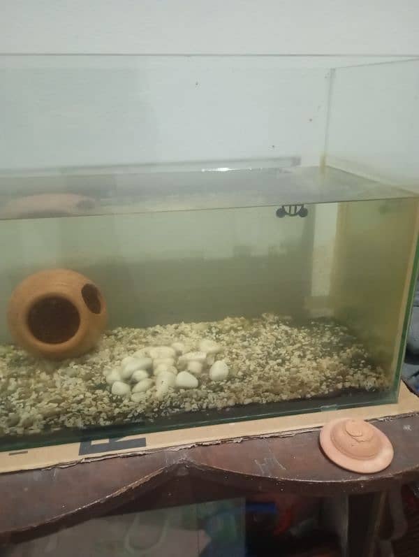 Fish Aquarium For sale 1