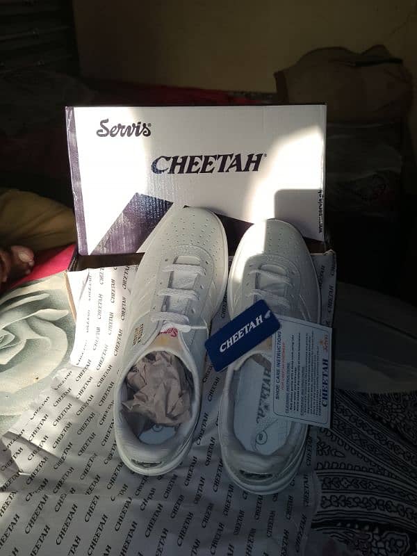 Servis Cheetah Shoes 2