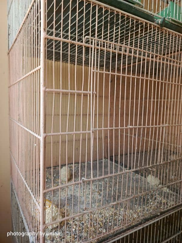 Cage 8 box pinjra 2