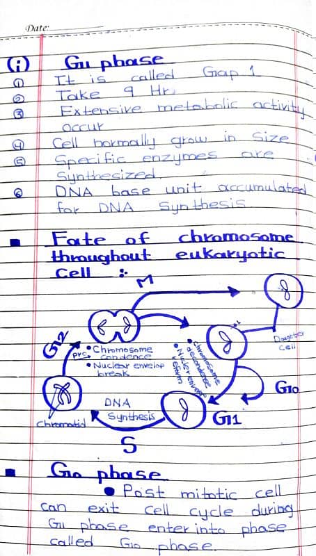 FSC Notes Class 12 Chapter 21 All short/Long Question | Punjab board 2