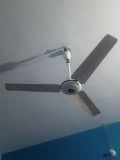 fan for sall 03112870750