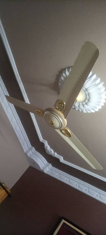 Original Pak Fan (Celling ) 0