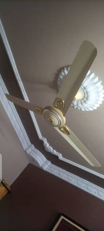 Original Pak Fan (Celling ) 3