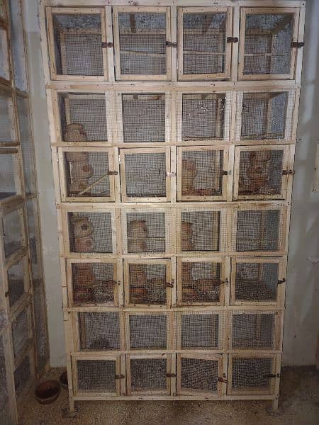 cages ideal for Finch farming 2