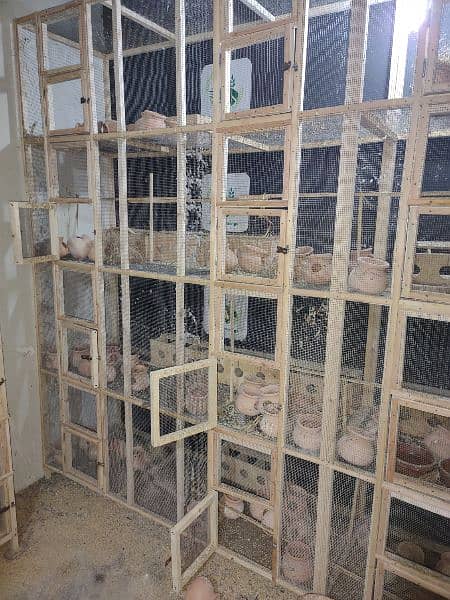 cages ideal for Finch farming 3