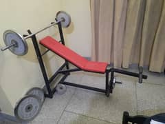 Gym incline adjustable bench Plus bar and weights upto 20kg