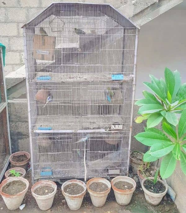 Large Metal Parrot's Cage 0