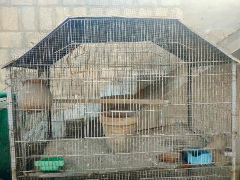 Large Metal Parrot's Cage 2