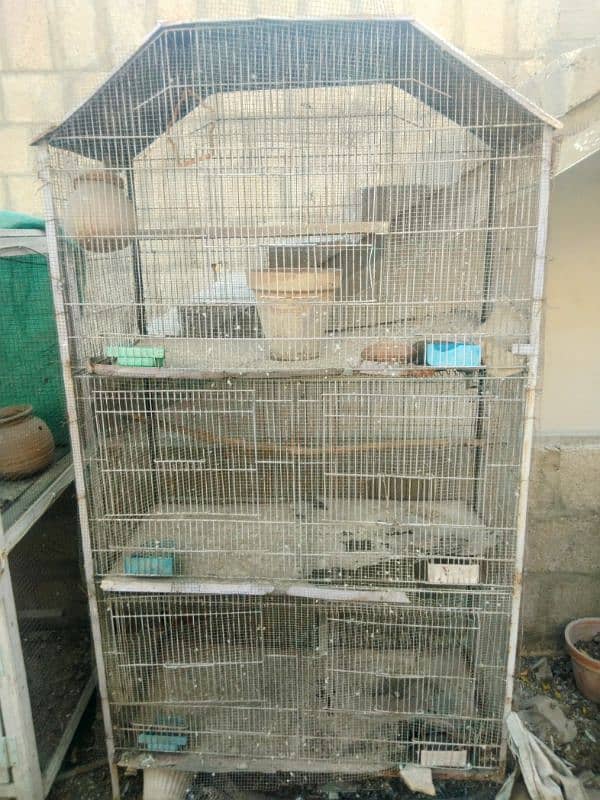 Large Metal Parrot's Cage 3