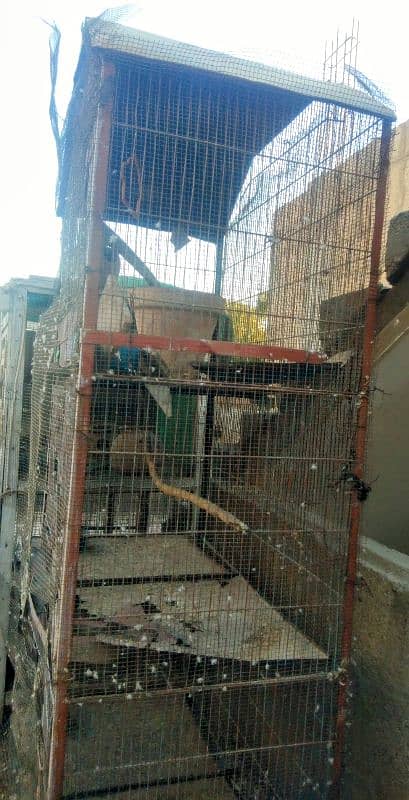 Large Metal Parrot's Cage 4