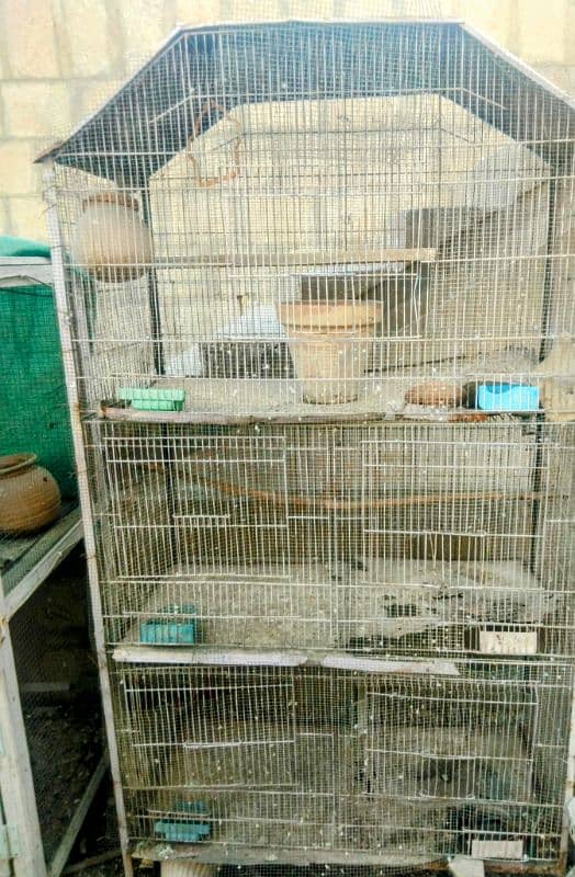 Large Metal Parrot's Cage 9