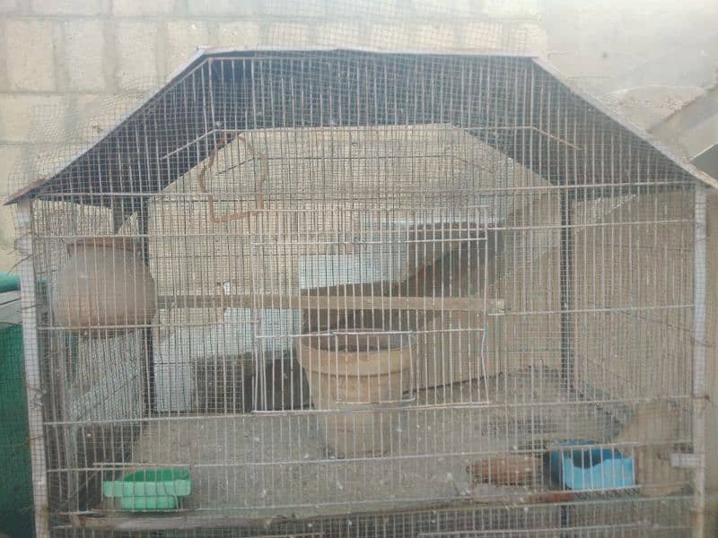 Large Metal Parrot's Cage 13