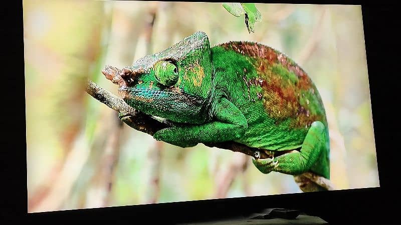 TCL 55 inch android smart tv 1