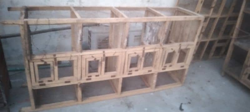 cages for new shelter 3