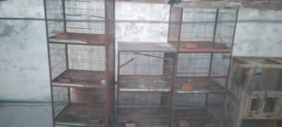 cages for new shelter